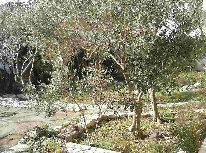 12609a Lägenhet Cres